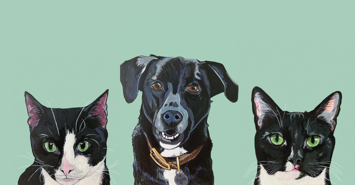 Dog Portrait - Multiples