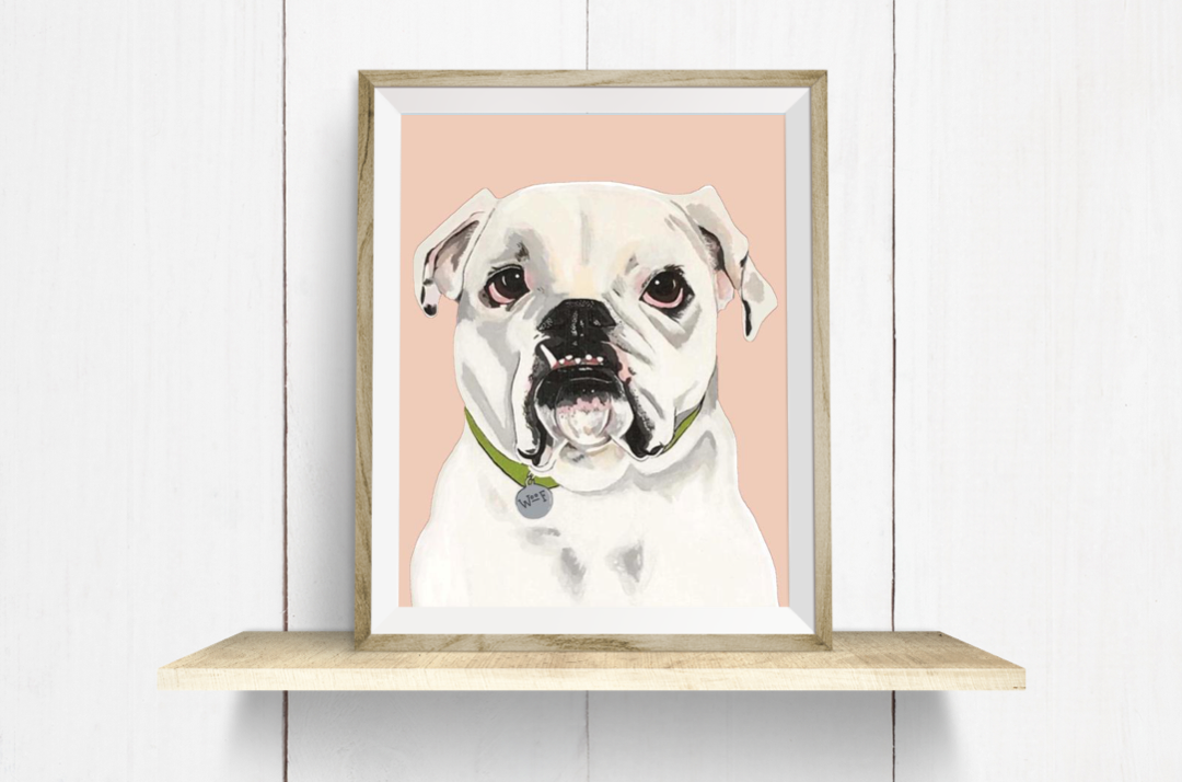 Tofu the English Bulldog