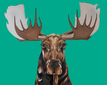 Load image into Gallery viewer, Marty the Moose