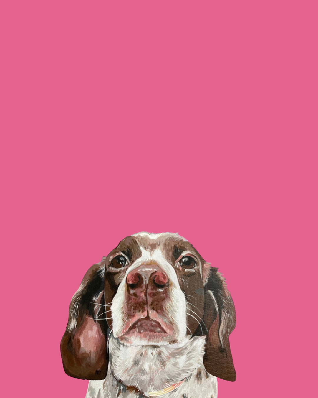 Dog Portrait - THE MODERN