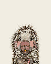 Load image into Gallery viewer, Parker the Porcupine