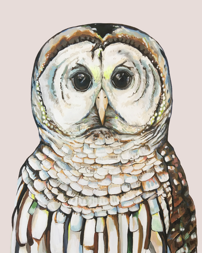 Al the Owl